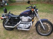 1999 Harley-Davidson XLH Sportster 1200 Sport photo